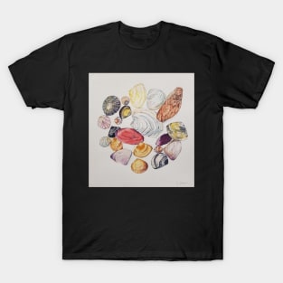 Circle of shells T-Shirt